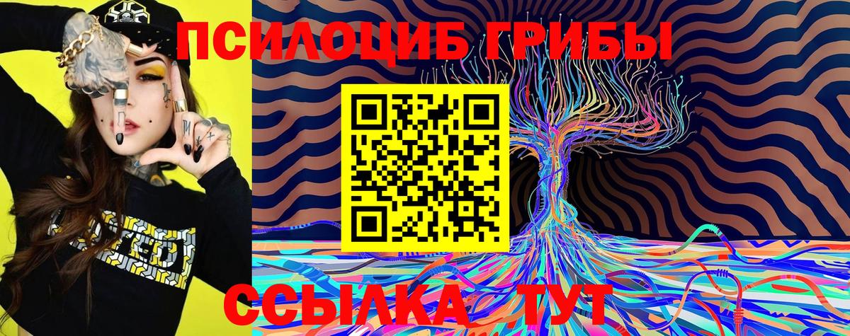 Свободный  Галлюциногенные грибы Cubensis  Вход с VPN 