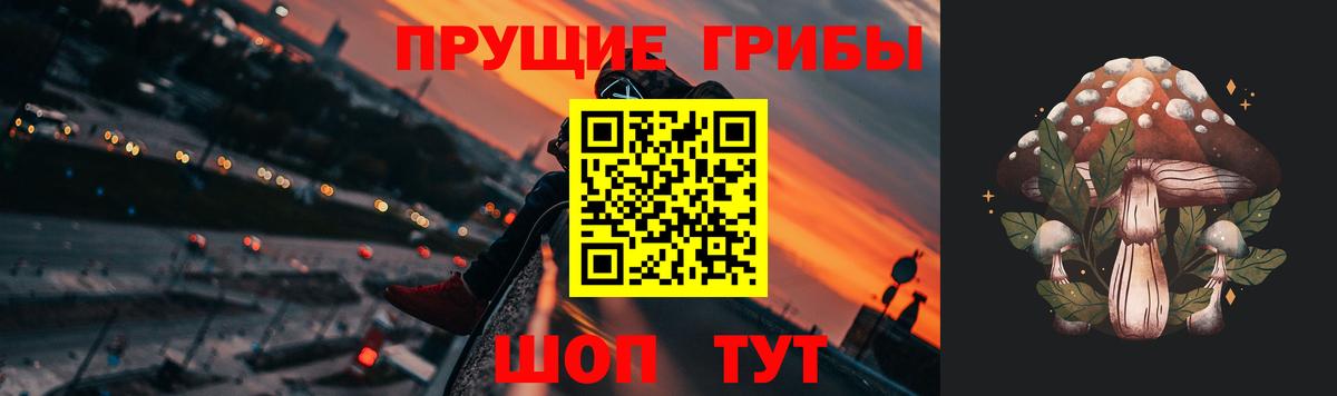 Галлюциногенные грибы GOLDEN TEACHER Свободный